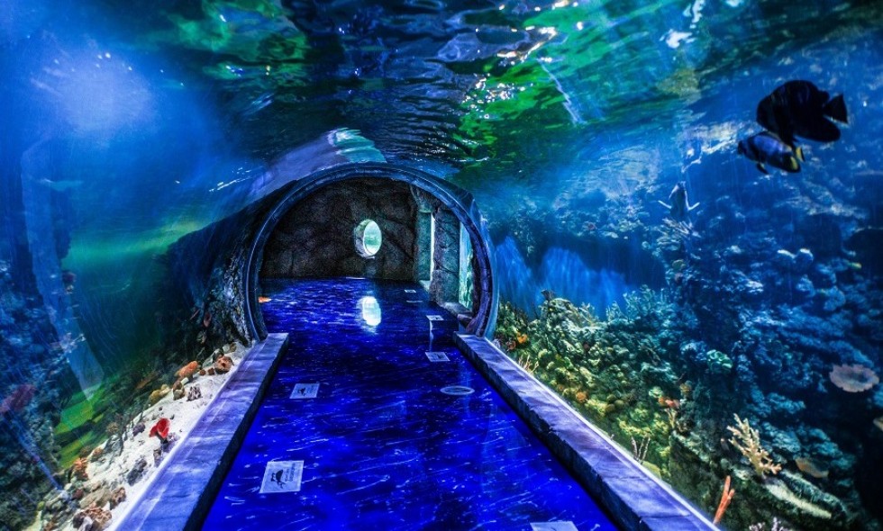 largest aquarium in the Russian
